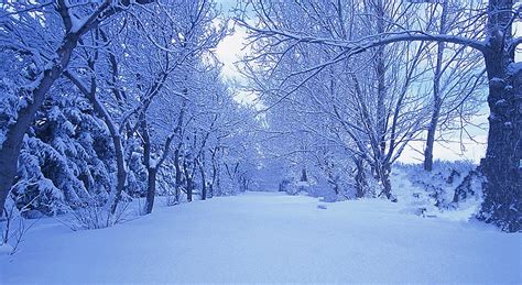 Winter Scenery Near Kuhmo Finland