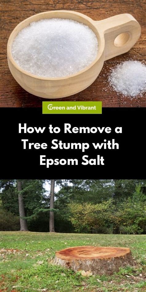How to kill small tree stumps. How to Remove a Tree Stump with Epsom Salt - Trees.com ...