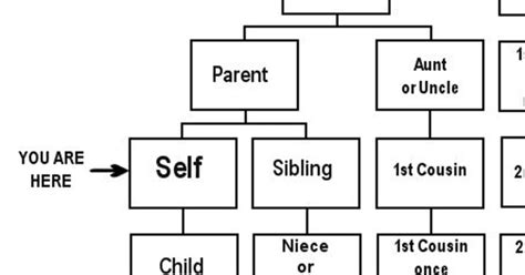 This Is The Difference Between Nd Cousins And Cousins Once Removed