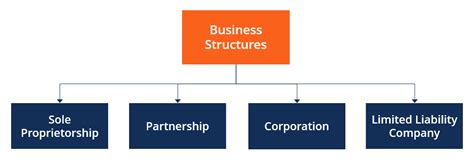 Types Of Company Structure Every Business Needs Ph