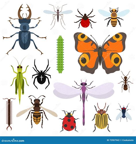 Insectes Réglés Des Icônes De La Vue Supérieure Illustration De Vecteur