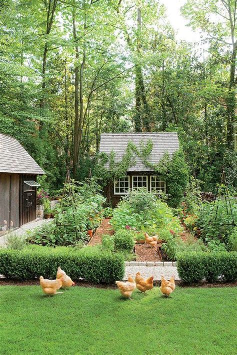 backyard chicken coop landscaping ideas