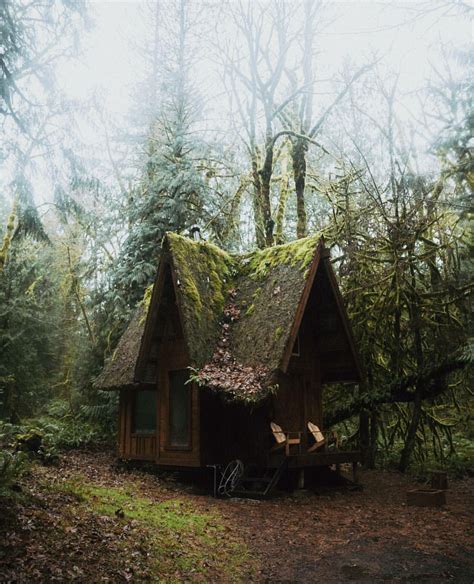 Super Cool Tiny Cottage Forest House Cottage In The Woods Forest Cabin