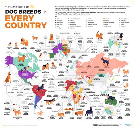 The Most Popular Dog Breed In Every Country Popular Dog Breeds Dog