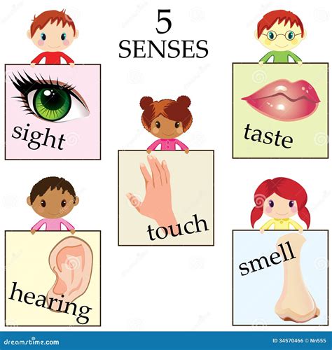Five Senses Icons Royalty Free Stock Photography