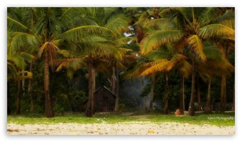 Kerala Beach Ultra Hd Desktop Background Wallpaper For 4k Uhd Tv