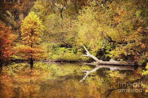Autumn Reflection Photograph By Cheryl Davis Fine Art America
