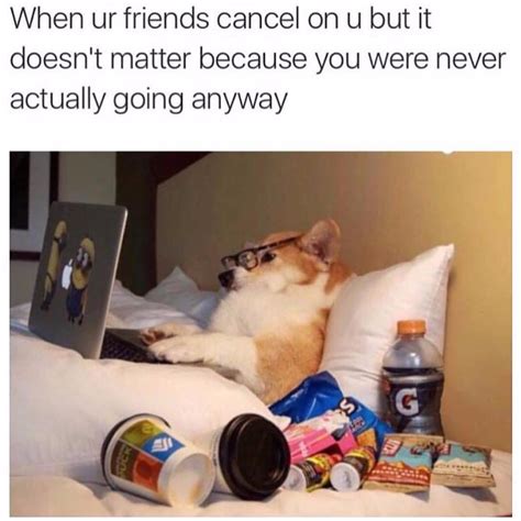 Memes About Staying In Popsugar Smart Living