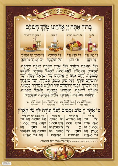 Laminated Sukkah Poster 20 X 28 P441 Judaica Spot