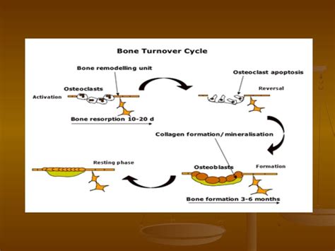 Metabolic Bone Disease