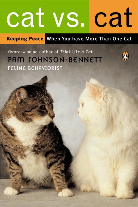 Buy Cat Vs Cat Keeping Peace When You Have More Than One Cat Online