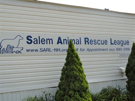 Salem Animal Rescue League Now Has Low Cost Spayneuter Program Salem