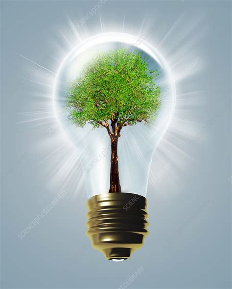 Tree In Light Bulb Stock Image C0078102 Science Photo Library