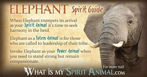 Elephant Symbolism And Meaning Spirit Totem And Power Animal Elephant
