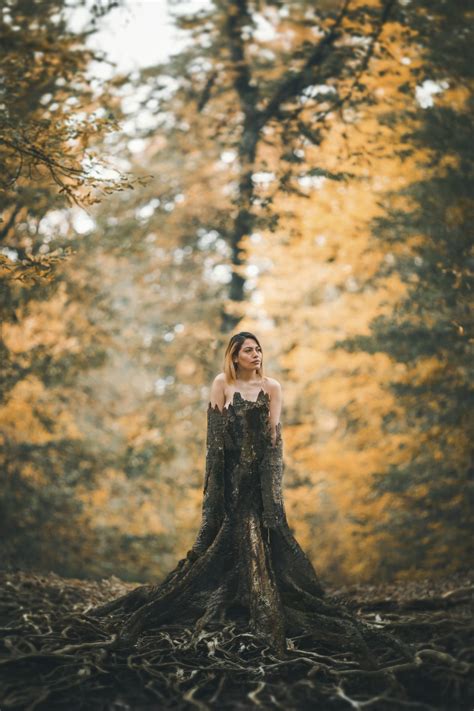 naked woman in forest pictures download free images on unsplash