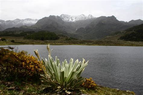 Laguna De Mucubají Maravilla Natural Del Estado Mérida Venelogía