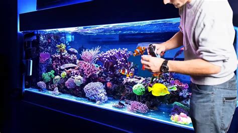 How To Lower Nitrate Levels In A Saltwater Aquarium 5 Ultimate