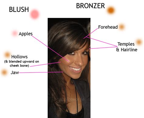 And stick one's nose in (where it's not wanted). The Ultimate Bronzer Post! (Bronzer 101 + A quick run through 25 diff. bronzers + loads of swatches)