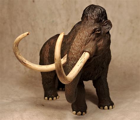 Collecta Wooly Mammoth Figuretoy Collectors Weekly