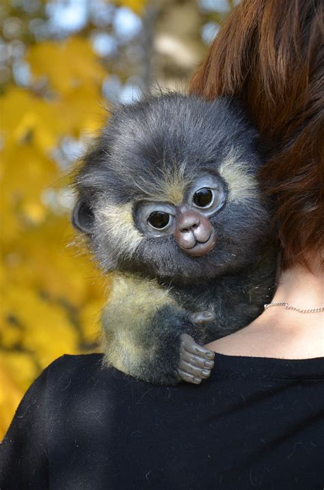Animal Realistic Plush Toy Monkey Yasha Etsy