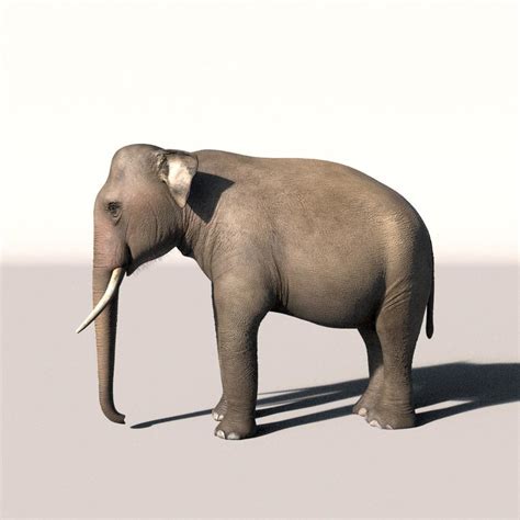 Elephant 3d Max
