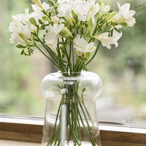 Clear Glass Vase Round Flower Vase By Sempre Motta Living Glass Vase Clear Glass Vases