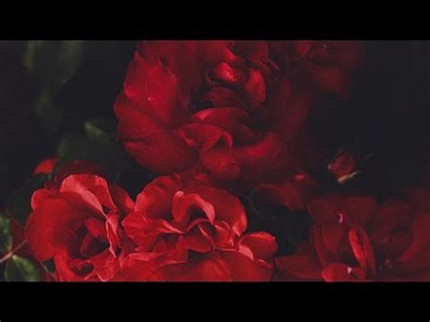 Fire, warmth, summer, and the south. {Red Aesthetic} - YouTube