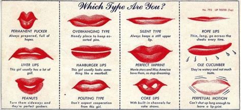 Lip Chart Lips Lip Shapes Lipstick Style