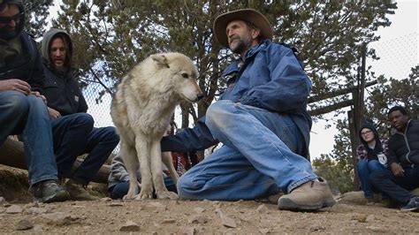 When Unprepared Owners Abandon Wolf Dogs This Sanctuary Takes Them In