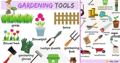 Gardening Tools: Names, List with Useful Pictures • 7ESL