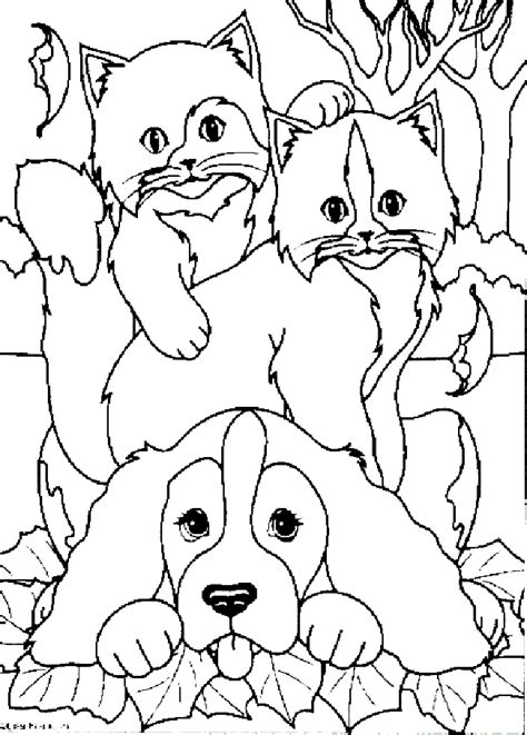 Cat And Dog Coloring Pages Animal Coloring Pages Dog Coloring Page