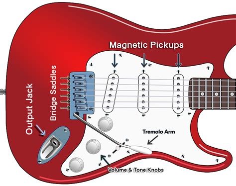 Guitar Anatomy Guitar Lessons University