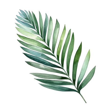 Premium Ai Image Green Watercolor Palm Leaf Isolated