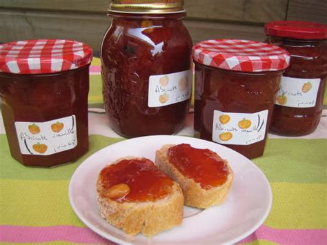 Recette de Confiture d abricots et vanille de grand -mère la recette