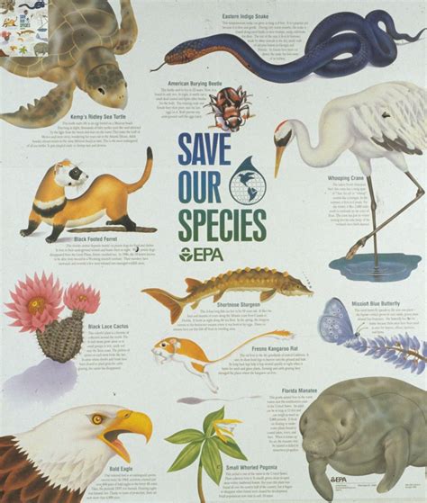 December 28 — Endangered Species Act Enacted (1973) - Today in Conservation