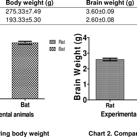 Body And Brain Weights Of Bat And Rat Download Scientific Diagram