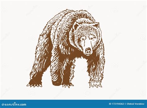 Graphical Grizzly Bear Walking Sepia Illustrationvector Stock Vector
