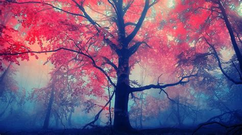 Red Leafed Tree Trees Mist Red Leaves Hd Wallpaper Wallpaper Flare