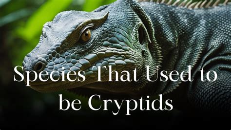 Species That Used To Be Cryptids But Turned Out To Be Real
