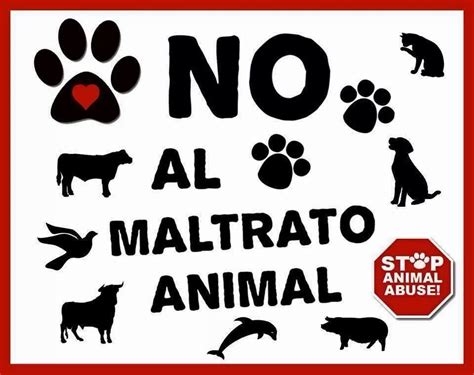 Espinosa De Los Monteros Abogados Contra El Maltrato Animal