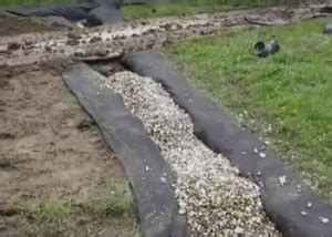 With a focus on personalised service, competitive rates and customer satisfaction, we're always striving to meet and. St. Clair Shores French Drain Perimeter System | French ...