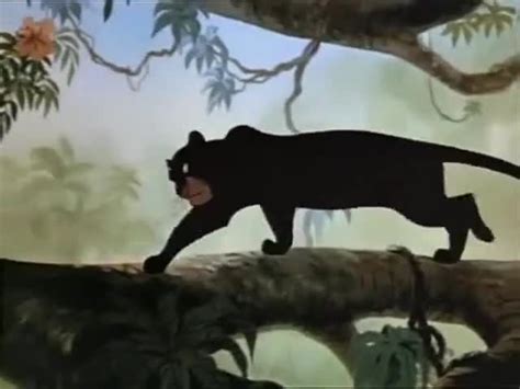 Yarn Sighs Foolish Man Cub The Jungle Book 1967 Video Clips