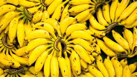 Bunch Of Yellow Bananas Hd Banana Wallpapers Hd Wallpapers Id 52422