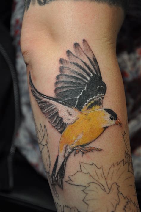 Goldfinch Tattoo Qdsc0001 33 2848×4288 Yellow Bird Tattoo