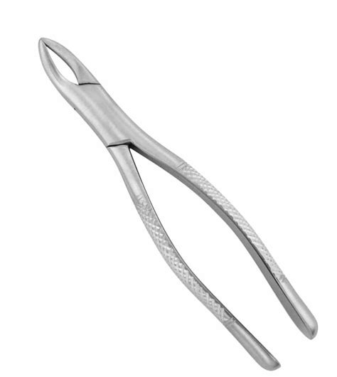 101 Universal Extraction Forceps Prodentusa