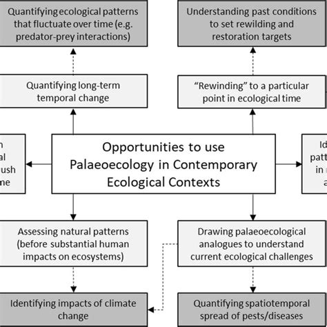 Overview Of The Opportunities To Use Palaeoecology In Contemporary