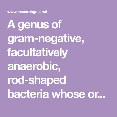 A Genus Of Gram Negative Facultatively Anaerobic Rod Shaped Bacteria