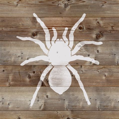 Tarantula Stencil Reusable Diy Craft Stencils Of A Tarantula Etsy