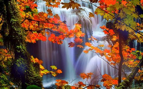 For Beautiful Waterfalls With Flowers Flower Scenario Hd Wallpaper
