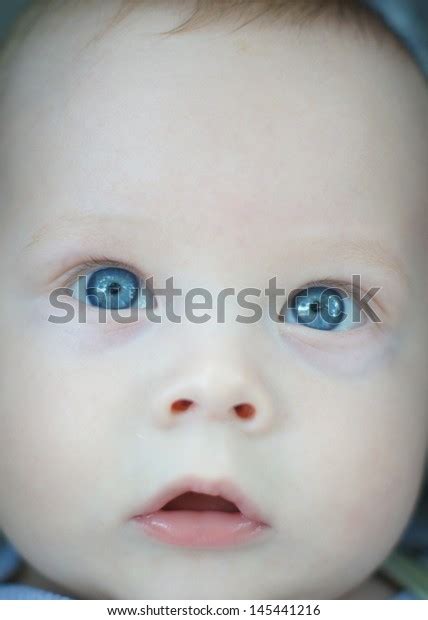 Little Baby Boy Blue Eyes Portrait Stock Photo 145441216 Shutterstock